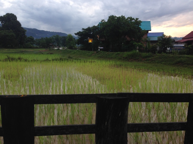 The sun is setting behind the rice paddies ~ Kong Lor